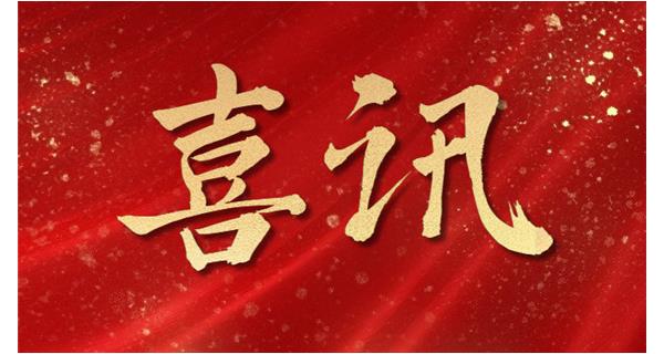 喜訊|建陽龍翔科技榮獲“南平市2024年度納稅成長型企業(yè)”和“科技創(chuàng)新優(yōu)秀企業(yè)”榮譽(yù)
